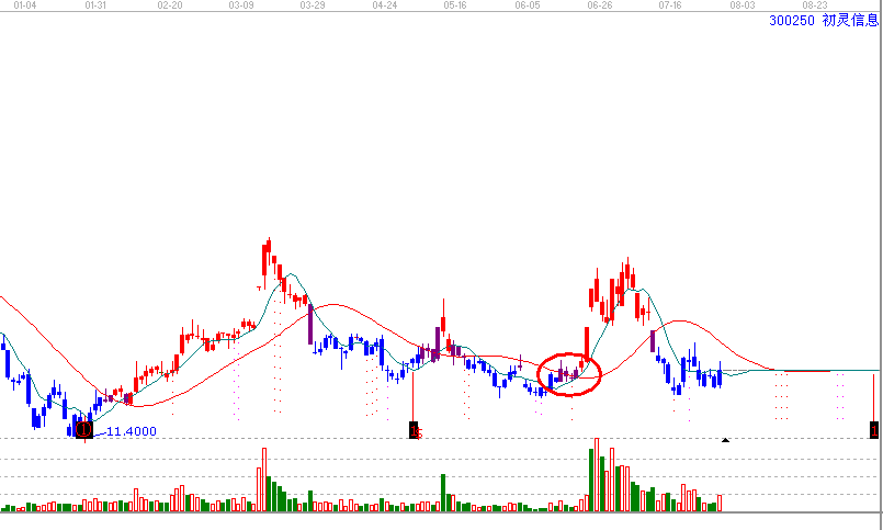 強(qiáng)勢個股300250-1